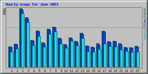 Hourly usage for June 2023